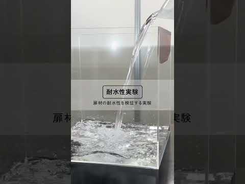 原廠影音-手工烤漆門板