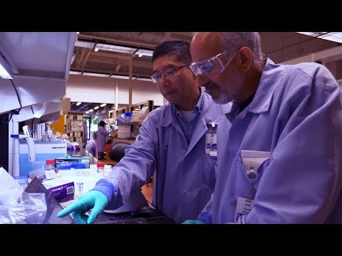 Top 3 Reasons to Work for PPD Laboratories' Functional Service Partnerships