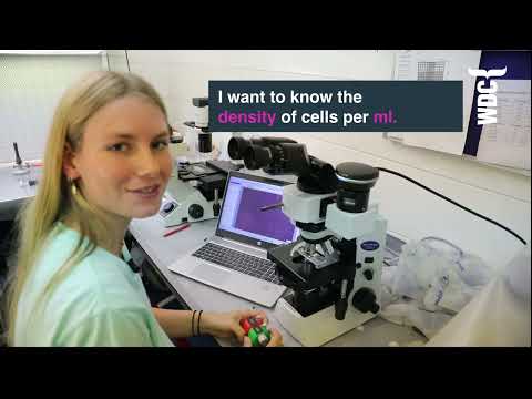 The power of porpoise poo | Whale and Dolphin Conservation