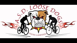 preview picture of video 'A.S.D. LOOSE DOGS - Visciano (NA) 05/10/2014'