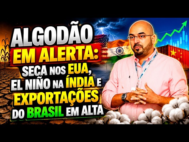 Algodão em alerta: seca nos EUA, El Niño na Índia e exportações do Brasil em alta.