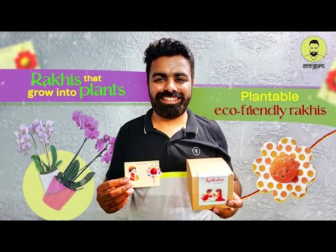 Plantable Rakhi ( with seeds )