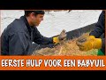 GAAT HET GEREDDE BABYUILTJE HET HALEN...? | DierenpraatTV