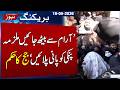 Anmol Pinky New Drama | Court's Reaction in Anmol Pinky Hearing Catches Attention | SAMAA TV