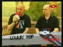 Lemuripop - Mini Entrevista Contempopranea 2008