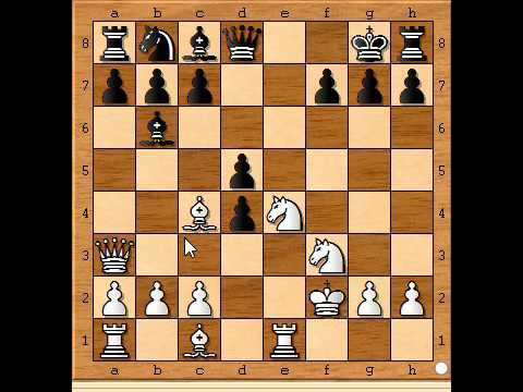 RICHARDSON VS DELMAR NEWYORK 1887