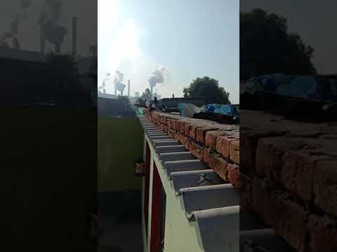 Akram bhai ki Chat par hai Kabutar