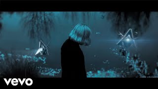 Musik-Video-Miniaturansicht zu We'll Never Know Songtext von Alan Walker
