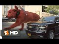 Clifford The Big Red Dog 2021 Clifford S Car Chase Scene 9 10 Movieclips