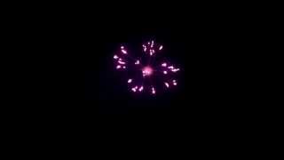 preview picture of video 'Purple Octopus Effect Firework Shell'