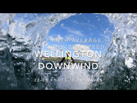 Petone to Eastbourne Surfski Downwind
