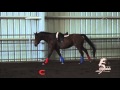 Lope Vs Canter