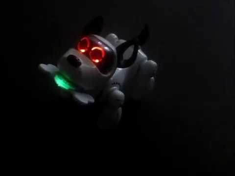 обзор робота собаки пабпо робот Pupbo