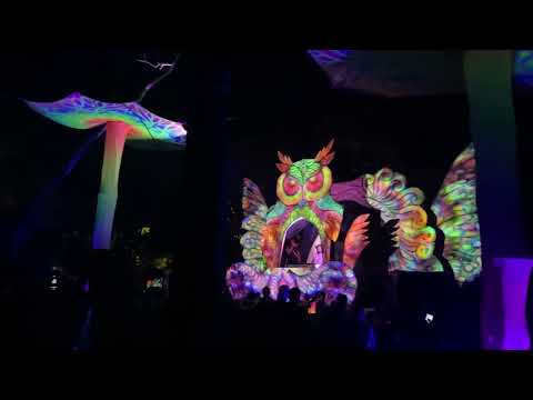 Deep Jungle Festival Sigiriya Sri Lanka