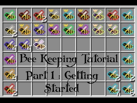 FTB - Forestry Bee Keeping Guide : Part 1 Getting Started