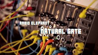 Video thumbnail for NATURAL GATE Overview & Memory Demonstration by Rabid Elephant