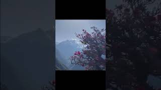 Download lagu https://www.facebook.com/share/r/1BpCJRTrPm/jdjfbdhdkdbdh mp3