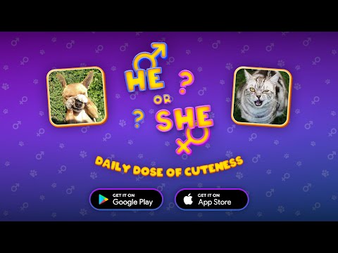 He or She: Cute Pet Quiz Game video thumbnail