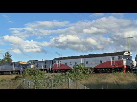 El Zorro grain train with EL+EL+T+G near Maitland - PoathTV Australian Trains