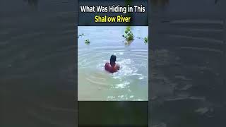 What Was Hiding in This Shallow River
