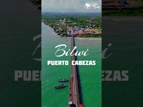 ¡Bilwi, la joya que brilla con luz propia! ✨