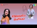 Ninaithale Inikkum Bharathi Kannamma Song