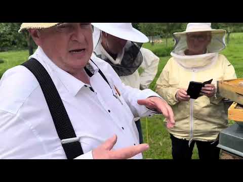 Binder speaks: Successful varroa treatment without formic acid