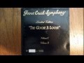 Goose Creek Symphony - Sally Goodin