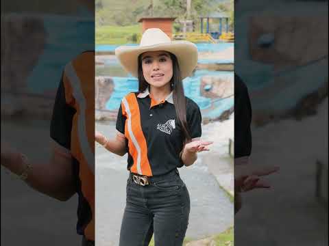 Festival equino Alejandría