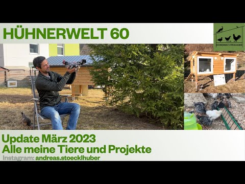Hühnerwelt 60 Update März 2023 - Die Seminar Vorbereitungen laufen