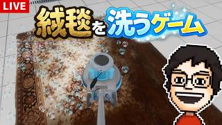 今日は汚れた絨毯を洗います｜絨毯を洗うゲーム