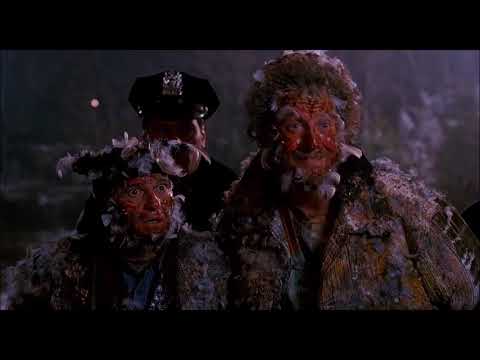 Mamma ho perso l'aereo 1 e 2   Harry e Marv vengono arrestati, sconfiggendosi