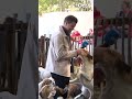 'Even' een video maken op de Military met honden, nog niet zo makkelijk | RTV Oost