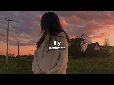 lily (slowed + reverb)
