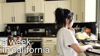 california vlog 🌞 | week at home with family