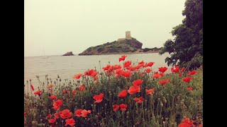 Cuore e vento Tazenda Moda ( Traduzione Ita) ( By Floris Igna)