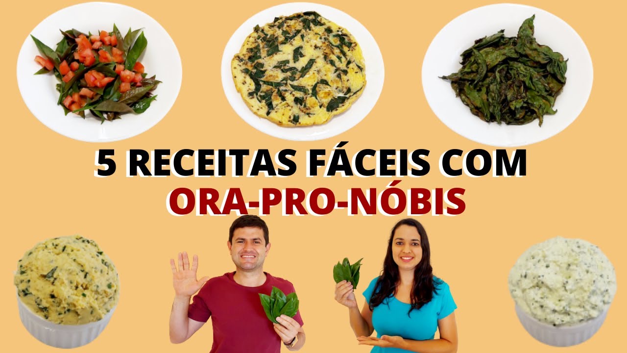 CINCO RECEITAS FÁCEIS COM ORA-PRO-NÓBIS PARA VOCÊ FAZER NA SUA CASA RAPIDINHO!