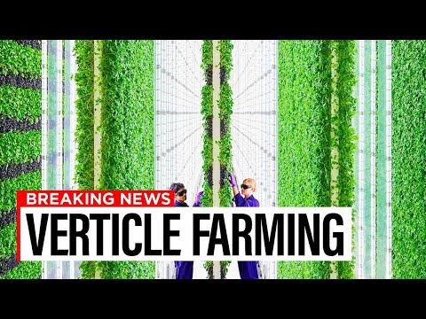 Aeroponic Farming Is The Way Of The FUTURE... But What Does It MEAN!?