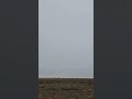 Endless Fields Open Roads And The Beauty Of Nature Trending Shorts Shortvideo