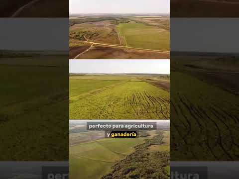 “En venta: campo de 80 hectáreas en San Pedro del Paraná, Itapúa.