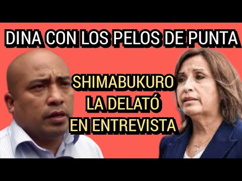 HENRY SHIMABUKURO DELATA A DINA BOLUARTE