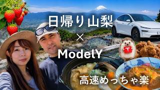 テスラで山梨へ。絶景温泉と郷土料理の日帰り旅