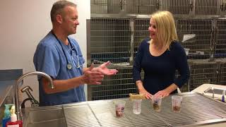 Pet Tips Tuesday: Keeping your pet at a healthy weight