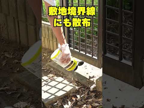 ヘビを遠ざけるにはどうすればいいですか？爬虫類から身を守るための 100% 天然のヒント  庭園