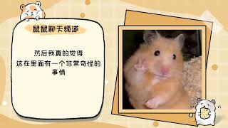 [問卦] 喝水500cc!!當兵發生過什麼？