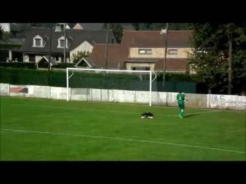 Herk FC - Houthalen VV (U17): doelpunt Bryan Thoelen (1)