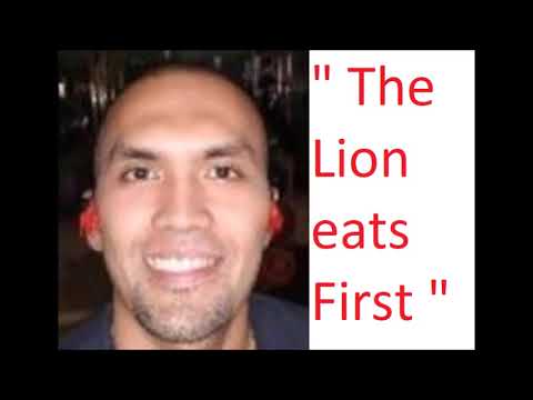 Tiger vs Lion - Lion Fanboys Say the Darndest Things Part 2
