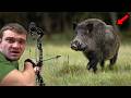 I Hunted Wild Hogs With Bow And Arrow