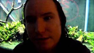 Album Review: "Dear Dear" by 54-40 -- Review by Display of Disgrace