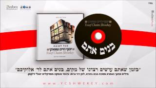יוסף חיים שוואקי - בנים אתם Yosef Chaim Shwekey - Bonim Attem
